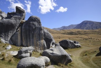An image of a landscape scenery at Castle Hill New Zealand