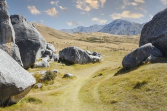 An image of a landscape scenery at Castle Hill New Zealand