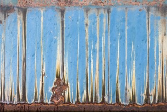 A rusty panel is transformed into a work of art