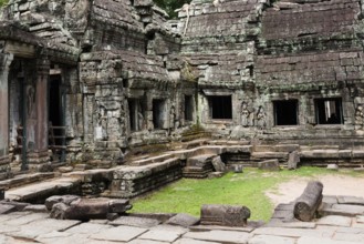 Buddhist temple buildings, jungle temples, mystical, Ta Prohm, Buddhist temple complex, UNESCO