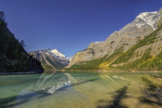 Beautiful autumn landscape scene in mountain in background in Jasper National Park west Canada with