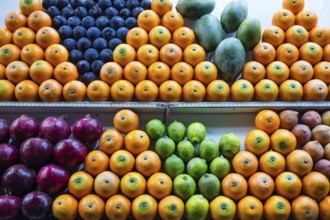 Beautifully arranged citrus fruits at a sales stand