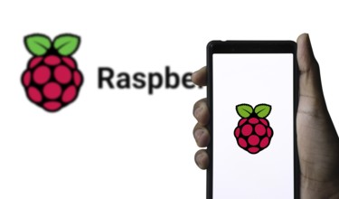 Raspberry Pi logo sign on the smartphone screen.