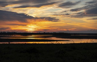 Morning sunlight reflecting off Water in Frampton Marsh, Lincolnshire, England, United Kingdom,