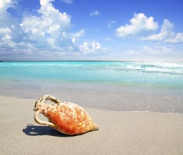 Amphora from roman culture on mediterranean turquoise beach in Spain