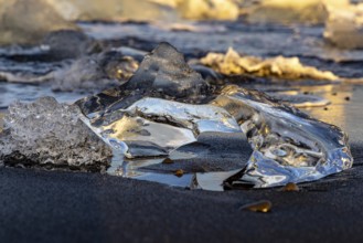 Evening at Diamond beach, Jökulsarln, south coast, Iceland, Europe