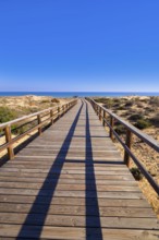 El Carabassi beach dunes in Elx Elche of Alicante in Spain at Costa Blanca also Carabasi