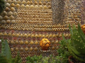 Tazones shells facades of Asturias in Spain