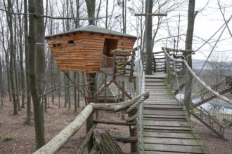Treehouse hotel, Berlepsch, Witzenhausen, Hesse, Germany, Europe