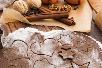 Baking for Christmas, rolled out dough with cookie