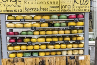 Shop for cheese in the Netherlands with a lot of different round cheeses in different sizes and