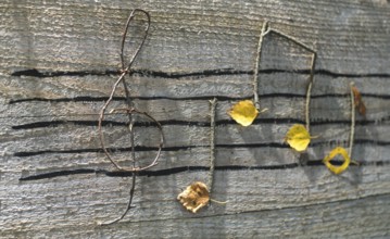 Musical notes conception. Wooden musical notes and leaves