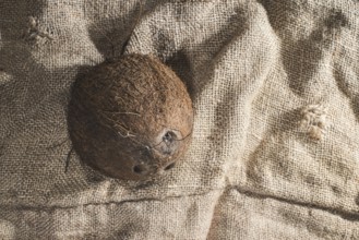 Coconut on burlap. Close up