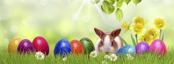Easter 154