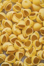 Pasta shells background food and drink concept