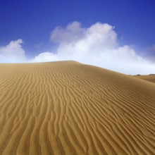 Desert sand dunes in Maspalomas Oasis Gran Canaria at Canary islands