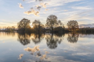 Trees reflected in a flooded meadow after heavy rains. Autumn landscape. Bas-Rhin, Alsace, Grand