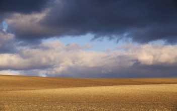 Sunset on the field ready for spring sowing