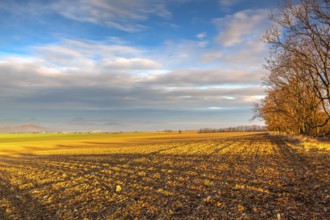 Autumn morning landscape over the city of Louny. Autumn plowed field at amazing sunrise. Czech
