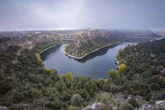 Meander, Las Hoces del Río Duratón Natural Park, Segovia province, Spain, Europe