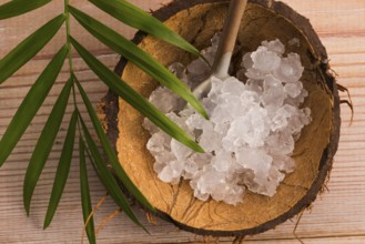 Water kefir grains