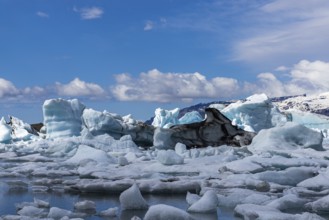 Jökulsarlon glacier lagoon, south coast, Iceland, Europe