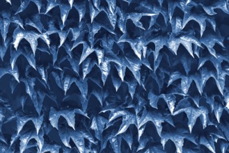 Natural leaves background Color of the year 2020 classic blue toned