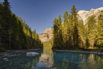 Beautiful autumn landscape scene in mountain in background in Jasper National Park west Canada with