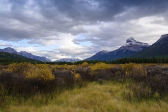 Beautiful autumn landscape scene in mountain in background in west Canada