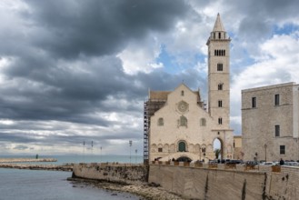 Details of the facade of the cathedral in Trani, Italy, Europe