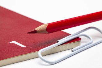 Organizer for the month of January, red pencil and white paperclip on the white table