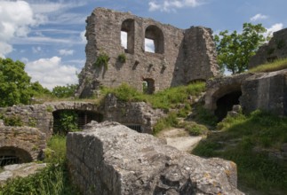 Castle ruins, Homburg, Gössenheim, Lower Franconia