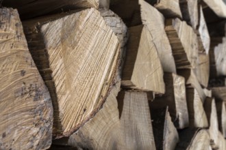 Background of an firewood dry and rough, cut in small pieces