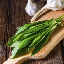 Fresh and tasty wild garlic
