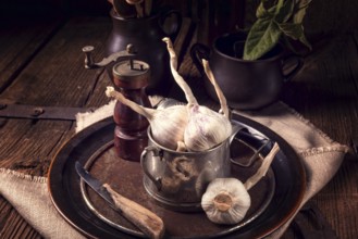 Garlic