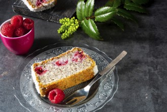 Poppy seed cake with raspberries and desiccated coconut