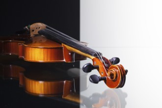 Old violin isolated on black and white background and glass desk