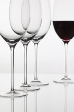 Four glasses of wine and on the white background