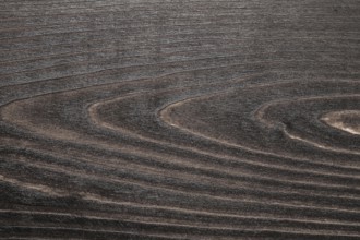 Vintage dark wood surface close up