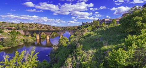 15th Century Old Bridge, Tormes River, Ledesma, Salamanca, Castilla y León, Spain, Europe