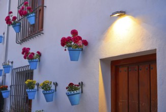 Flower pots in Granada Albaicin at sunset of Spain