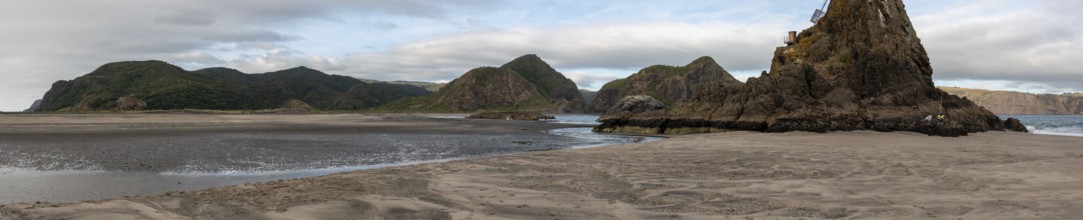 Tranquil bay of Whatipu beach near Auckland, New Zealand, Oceania