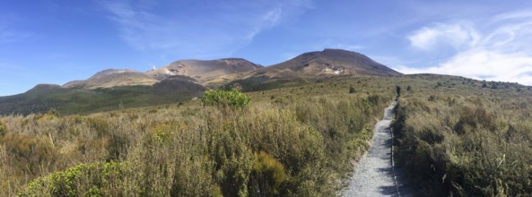 Hiking the Ketetahi End of Tongariro National Park, New Zealand, Oceania