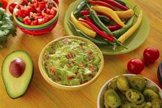 Mexican food mixed guacamole nachos chili sauce dipping cheddar cheese lemon pico de gallo