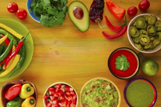 Mexican food mixed guacamole nachos chili sauce dipping cheddar cheese lemon pico de gallo