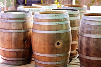 Barrels of oak wood for wine or liquor in a row