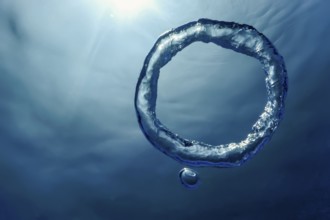 Bubble Ring Underwater, Ring Bubble