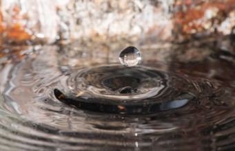 Water drops in nature environment. Wooden background
