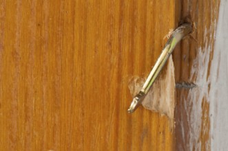 Door lock close up. Horizontal image