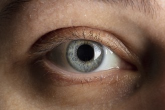 Blaues menschliches auge nahaufnahme